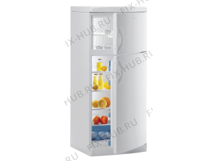 Холодильник Gorenje RFE256B5 (233449, HZS2766) - Фото